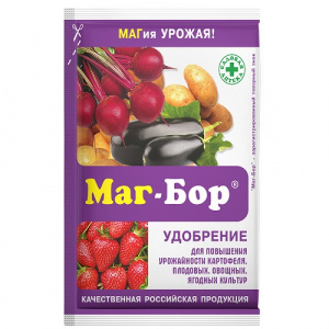 magbor-100g-500x500