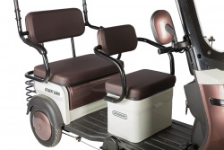 Электротрицикл Rutrike Gelbert Sarin 48V/60V 1000Вт